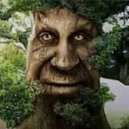 Avatar of player Мудрый дуб