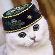 Avatar of player максим таганов