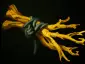 Item branches