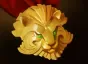 Item medallion_of_courage