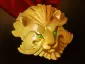 Item medallion_of_courage