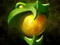Item orb_of_venom