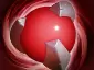 Item vitality_booster